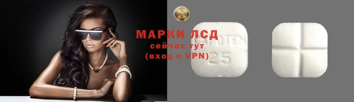 PSILOCYBIN Беломорск