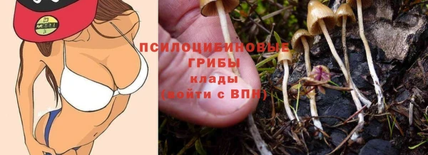 твердый Белоозёрский