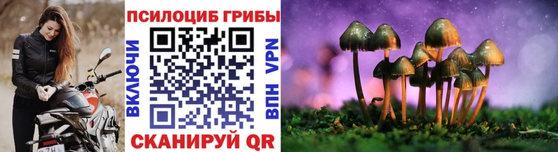 hydra ССЫЛКА Котово Галлюциногенные грибы мицелий
